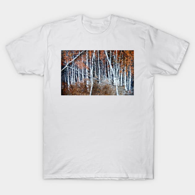 In Search Of My Soul T-Shirt by VangoArtGallery